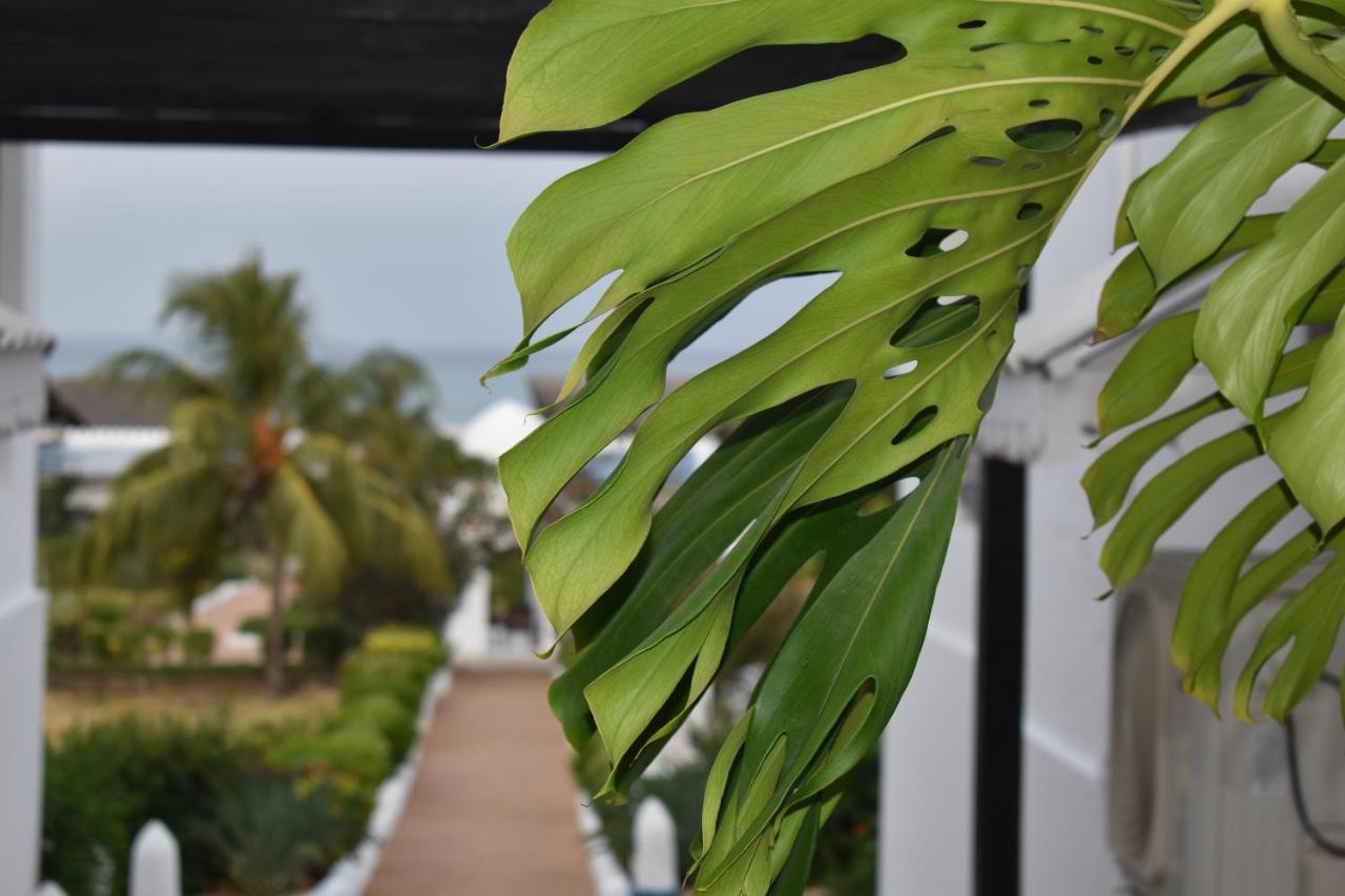 Kendwa Beach Resort Exteriör bild