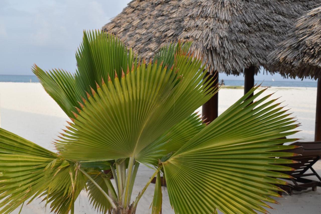 Kendwa Beach Resort Exteriör bild