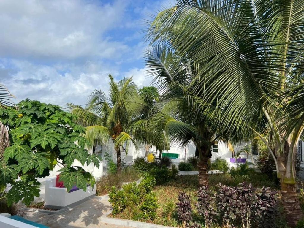 Kendwa Beach Resort Exteriör bild